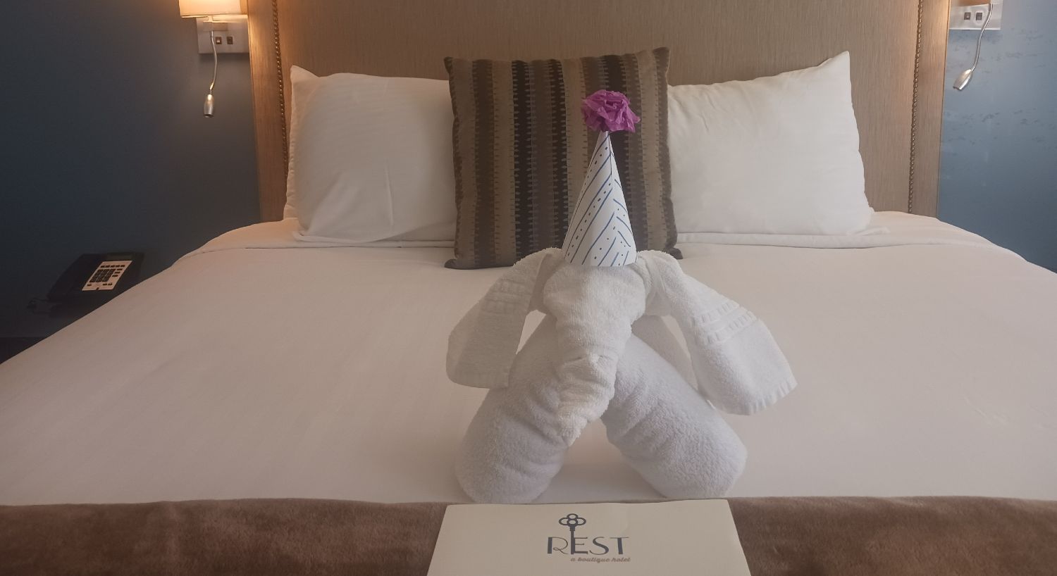 ellie with party hat 1500x818 gallery