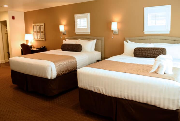 a room with 2 queen beds with white bedding and round brown decorative pillows, and a desk and chair with a lamp.